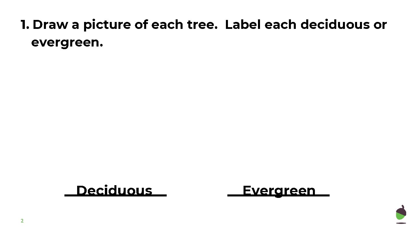 1. Draw a picture of each tree. Label each deciduous or evergreen. Deciduous 2
