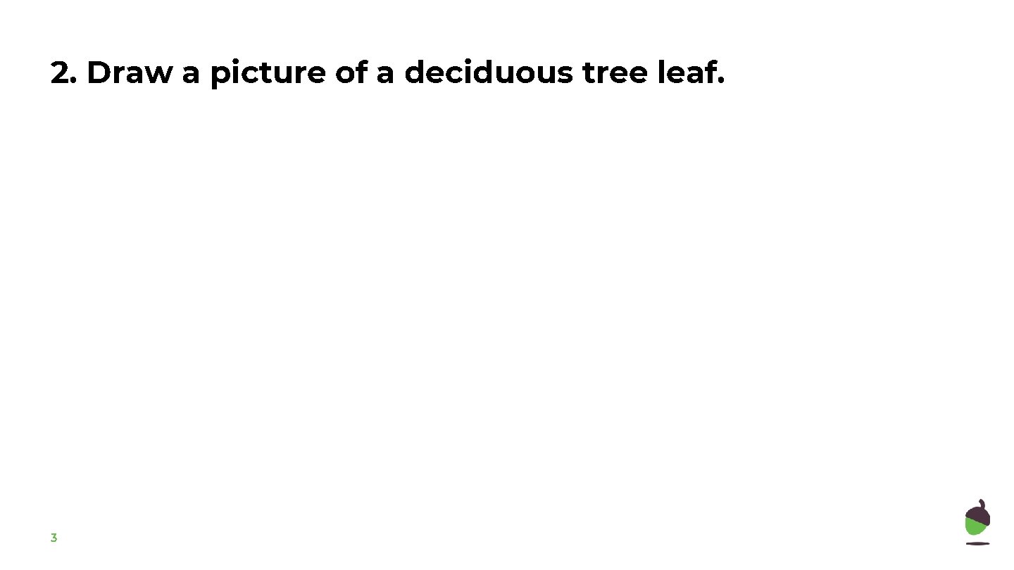 2. Draw a picture of a deciduous tree leaf. 3 