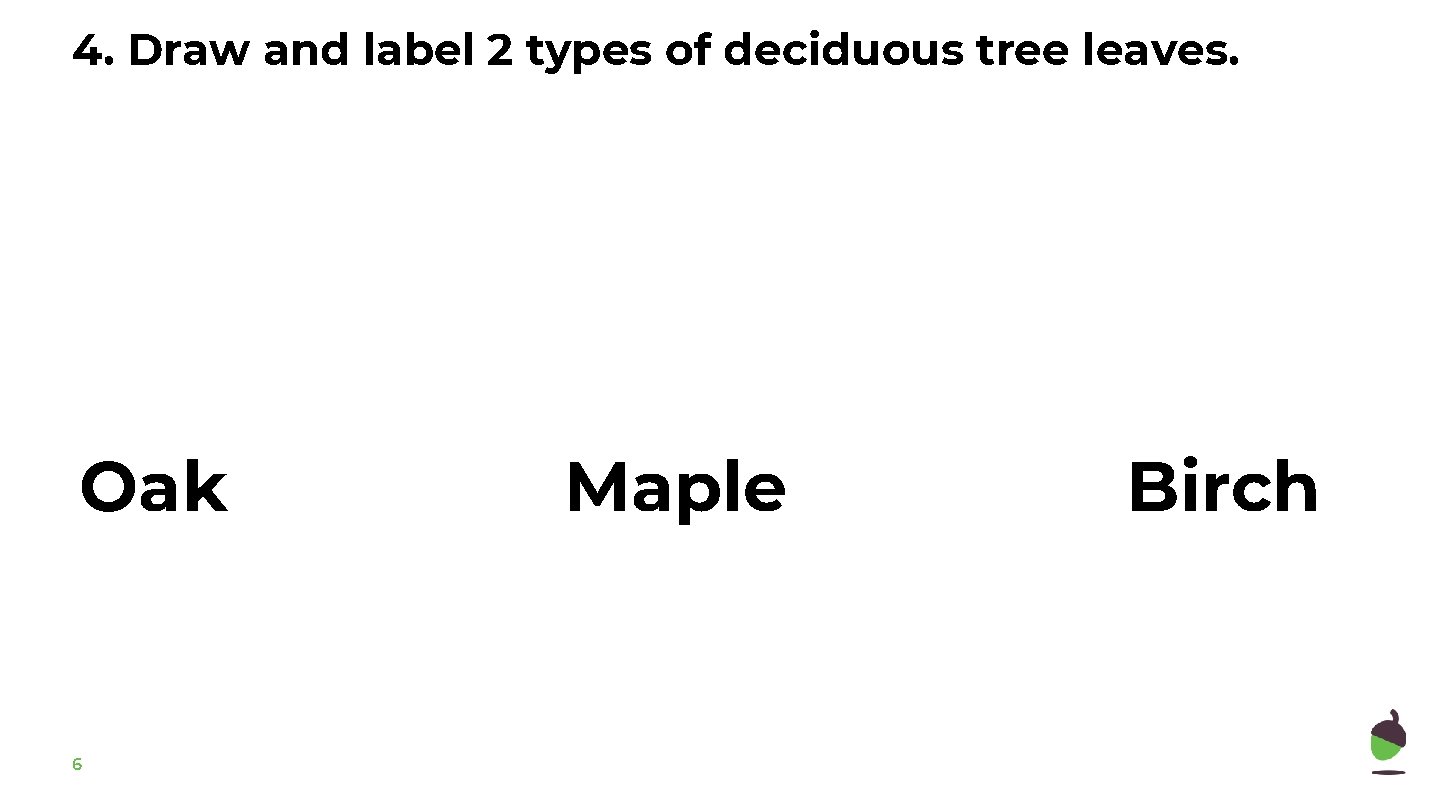 4. Draw and label 2 types of deciduous tree leaves. Oak 6 Maple Birch