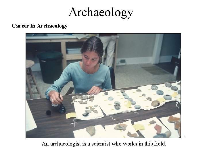 Archaeology . Career in Archaeology An archaeologist is a scientist who works in this