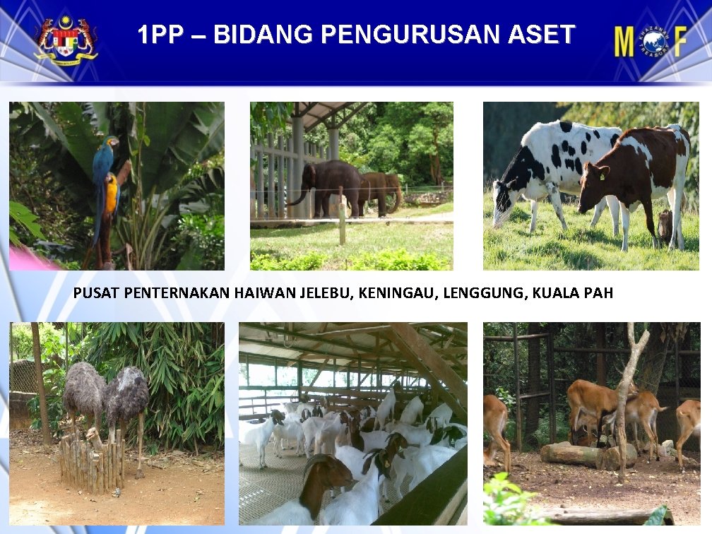 1 PP – BIDANG PENGURUSAN ASET PUSAT PENTERNAKAN HAIWAN JELEBU, KENINGAU, LENGGUNG, KUALA PAH