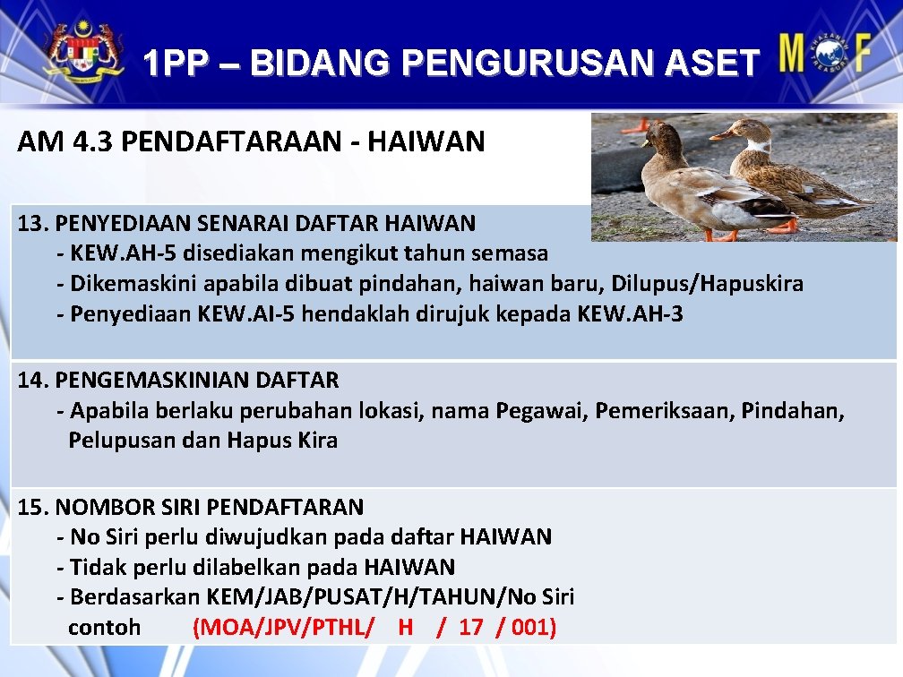 1 PP – BIDANG PENGURUSAN ASET AM 4. 3 PENDAFTARAAN - HAIWAN 13. PENYEDIAAN