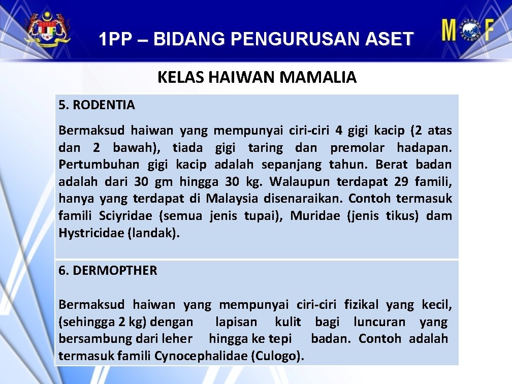 1 PP – BIDANG PENGURUSAN ASET KELAS HAIWAN MAMALIA 5. RODENTIA Bermaksud haiwan yang