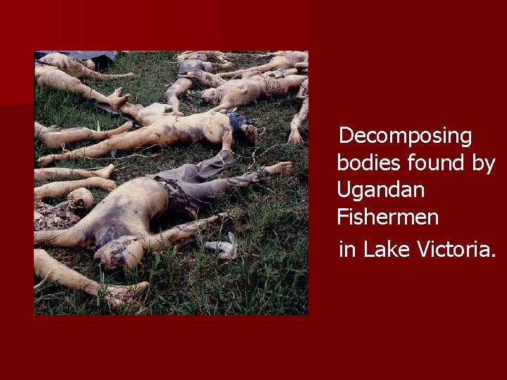 Decomposing bodies found by Ugandan Fishermen in Lake Victoria. 