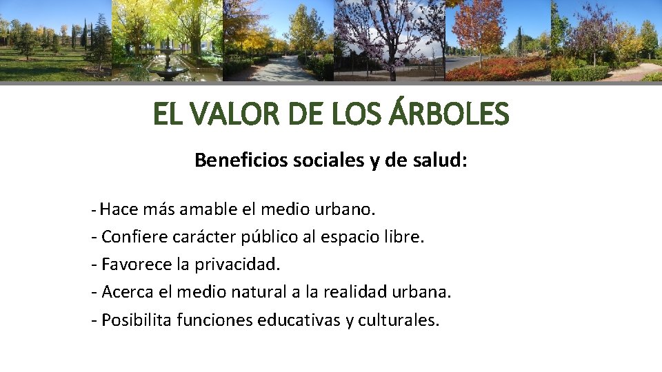 EL VALOR DE LOS ÁRBOLES Beneficios sociales y de salud: - Hace más amable