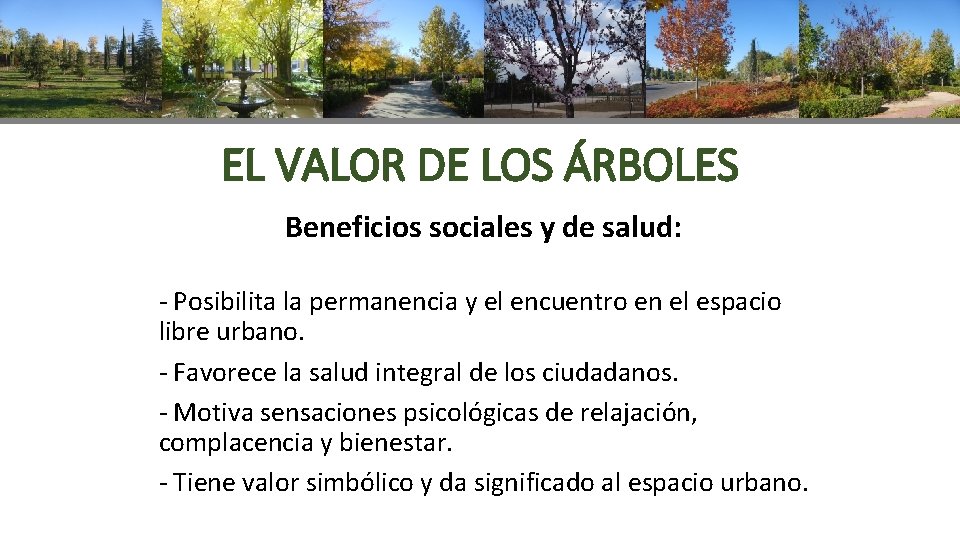EL VALOR DE LOS ÁRBOLES Beneficios sociales y de salud: - Posibilita la permanencia