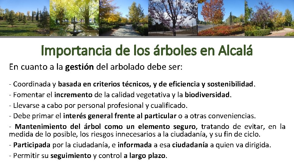 Importancia de los árboles en Alcalá En cuanto a la gestión del arbolado debe