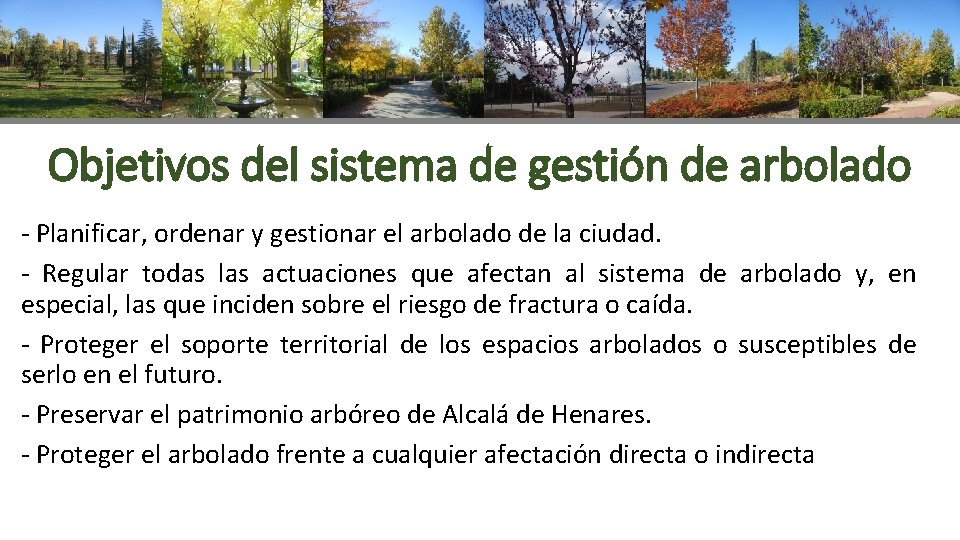 Objetivos del sistema de gestión de arbolado - Planificar, ordenar y gestionar el arbolado