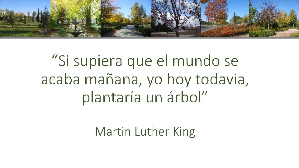 “Si supiera que el mundo se acaba mañana, yo hoy todavia, plantaría un árbol”