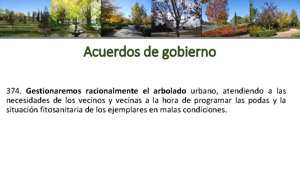 Acuerdos de gobierno 374. Gestionaremos racionalmente el arbolado urbano, atendiendo a las necesidades de