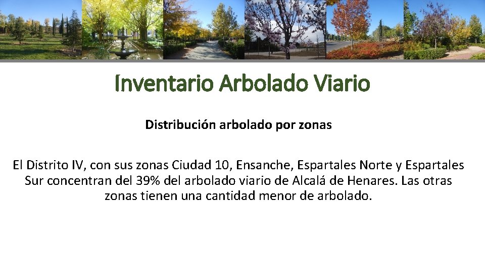 Inventario Arbolado Viario Distribución arbolado por zonas El Distrito IV, con sus zonas Ciudad