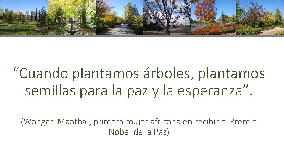 “Cuando plantamos árboles, plantamos semillas para la paz y la esperanza”. (Wangari Maathai, primera