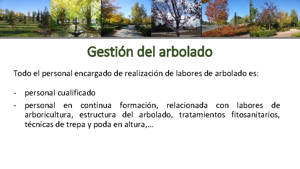 Gestión del arbolado Todo el personal encargado de realización de labores de arbolado es:
