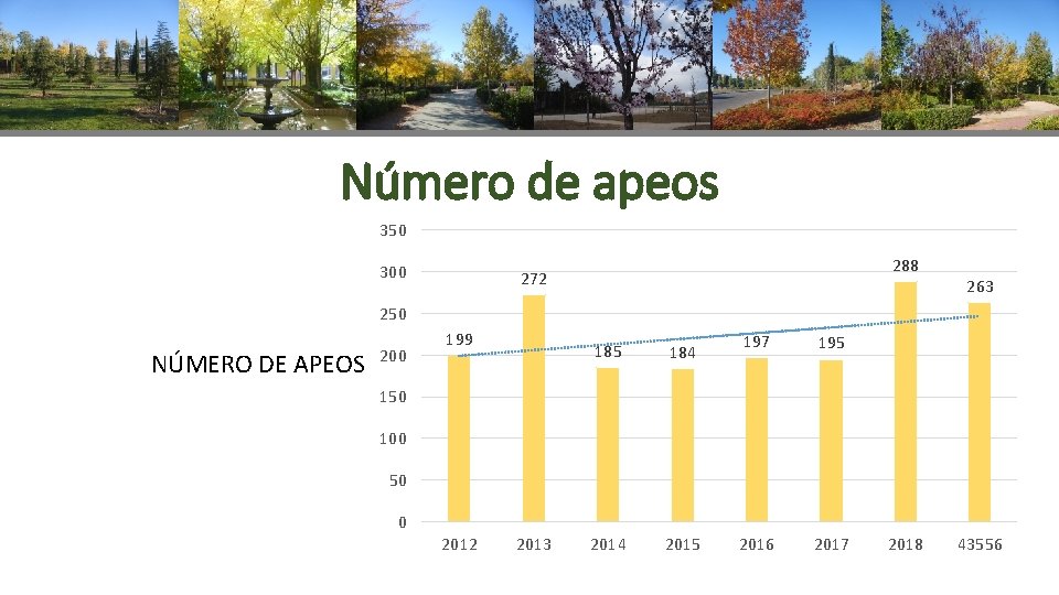 Número de apeos 350 300 288 272 263 250 NÚMERO DE APEOS 200 199