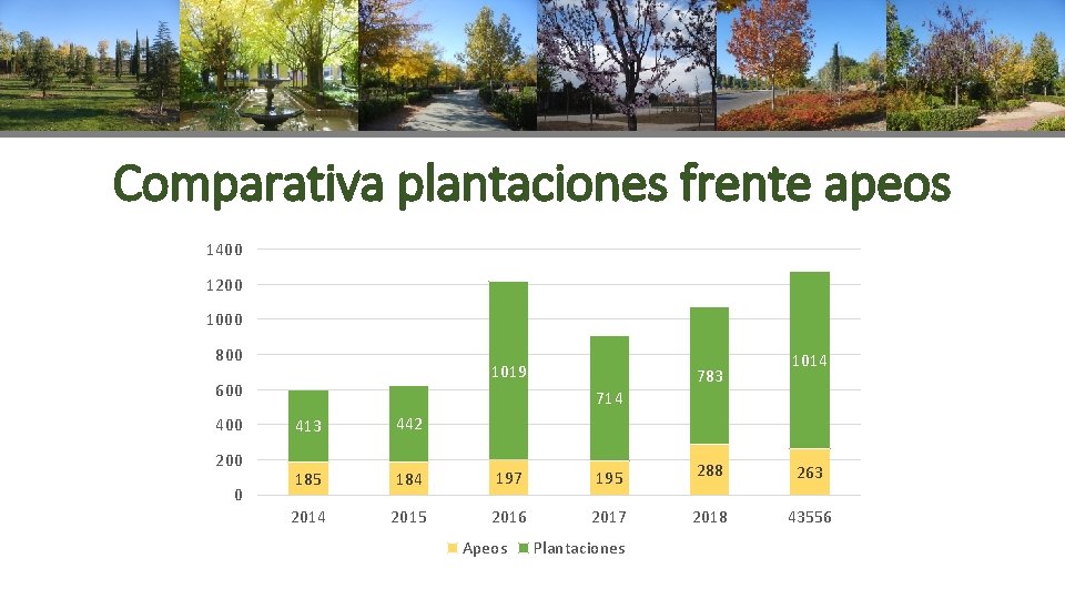 Comparativa plantaciones frente apeos 1400 1200 1000 800 1019 600 400 200 0 783