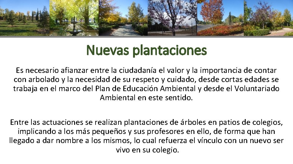 Nuevas plantaciones Es necesario afianzar entre la ciudadanía el valor y la importancia de