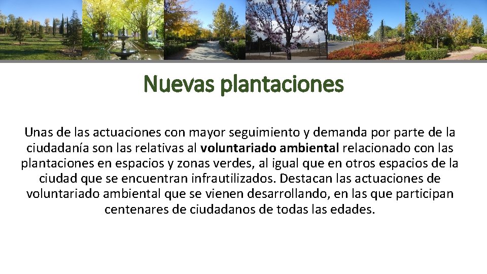 Nuevas plantaciones Unas de las actuaciones con mayor seguimiento y demanda por parte de