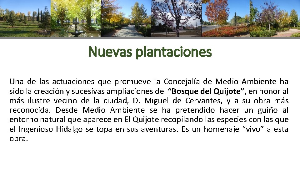 Nuevas plantaciones Una de las actuaciones que promueve la Concejalía de Medio Ambiente ha