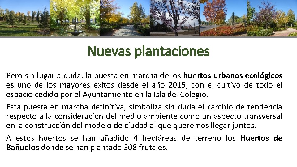 Nuevas plantaciones Pero sin lugar a duda, la puesta en marcha de los huertos