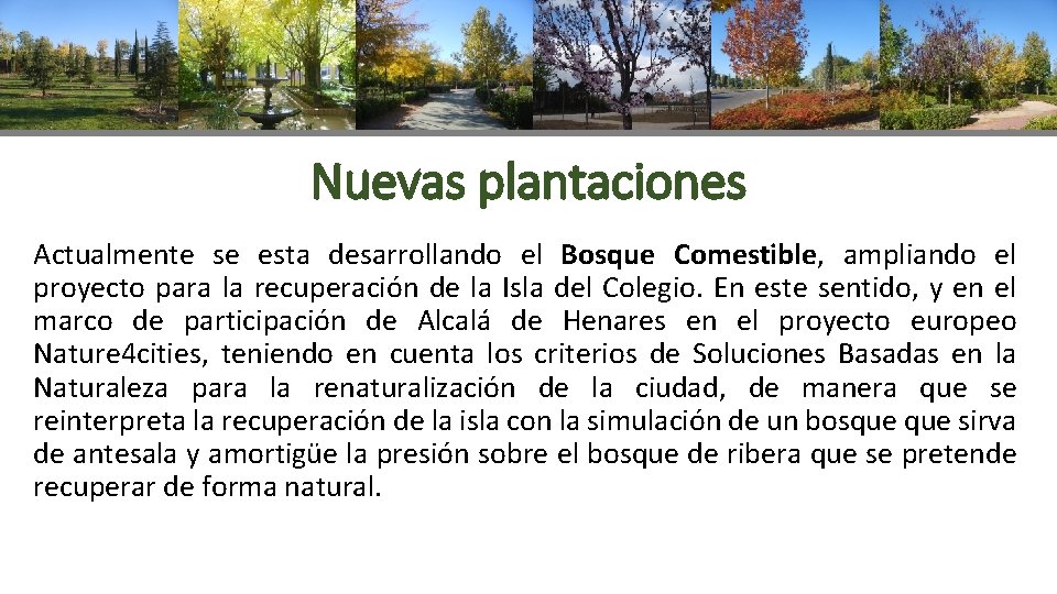Nuevas plantaciones Actualmente se esta desarrollando el Bosque Comestible, ampliando el proyecto para la