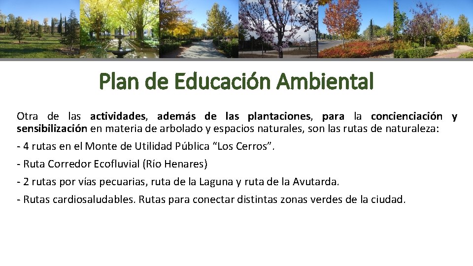 Plan de Educación Ambiental Otra de las actividades, además de las plantaciones, para la