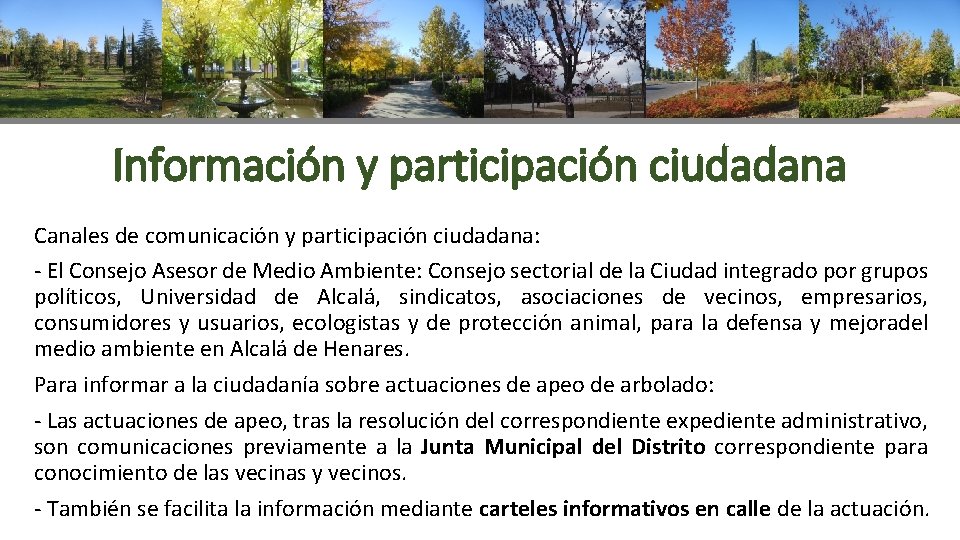 Información y participación ciudadana Canales de comunicación y participación ciudadana: - El Consejo Asesor