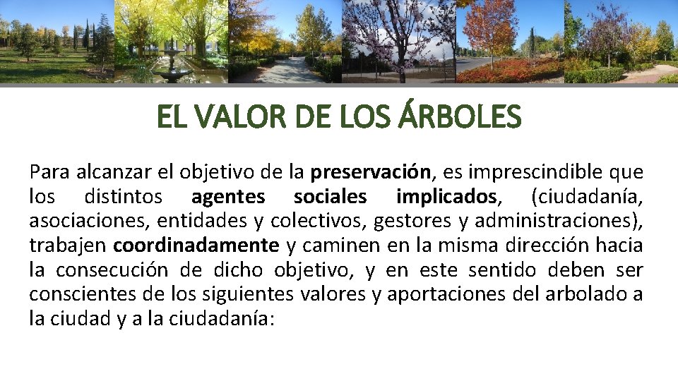 EL VALOR DE LOS ÁRBOLES Para alcanzar el objetivo de la preservación, es imprescindible