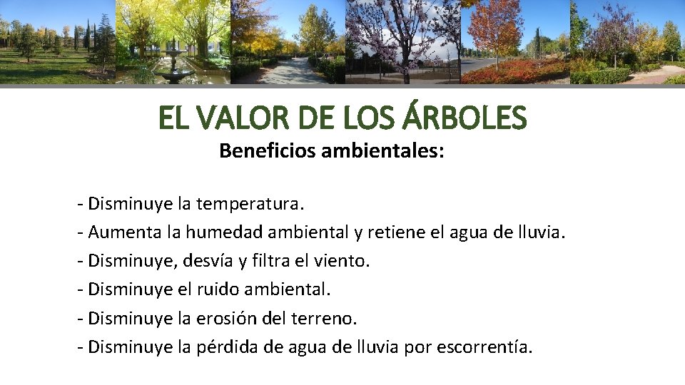 EL VALOR DE LOS ÁRBOLES Beneficios ambientales: - Disminuye la temperatura. - Aumenta la