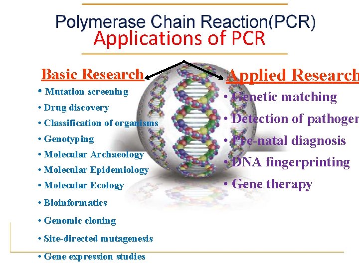 Applications of PCR Basic Research Applied Research • Mutation screening • Genetic matching •
