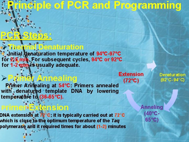 Principle of PCR and Programming PCR Steps: ØThermal Denaturation Initial denaturation temperature of 94ºC-97ºC