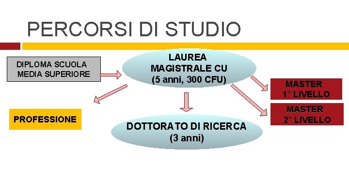 PERCORSI DI STUDIO DIPLOMA SCUOLA MEDIA SUPERIORE PROFESSIONE LAUREA MAGISTRALE CU (5 anni, 300