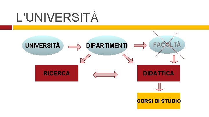 L’UNIVERSITÀ RICERCA DIPARTIMENTI FACOLTÀ DIDATTICA CORSI DI STUDIO 