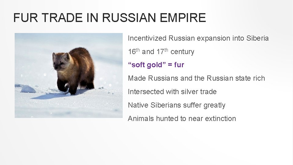 FUR TRADE IN RUSSIAN EMPIRE Incentivized Russian expansion into Siberia 16 th and 17