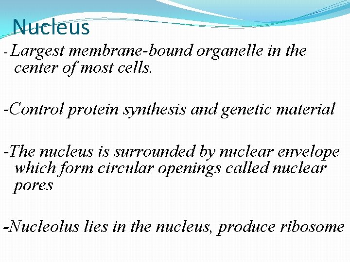 Nucleus - Largest membrane-bound organelle in the center of most cells. -Control protein synthesis