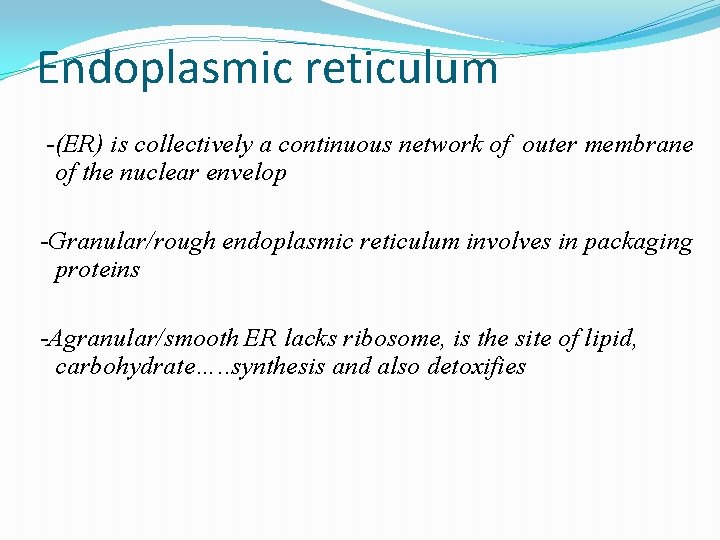 Endoplasmic reticulum -(ER) is collectively a continuous network of outer membrane of the nuclear
