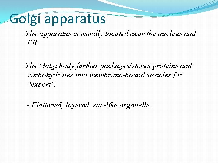 Golgi apparatus -The apparatus is usually located near the nucleus and ER -The Golgi