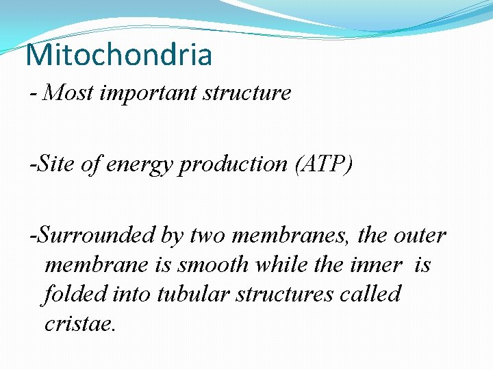 Mitochondria - Most important structure -Site of energy production (ATP) -Surrounded by two membranes,