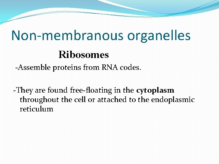 Non-membranous organelles Ribosomes -Assemble proteins from RNA codes. -They are found free-floating in the