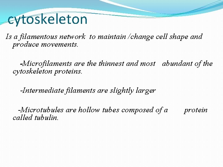 cytoskeleton Is a filamentous network to maintain /change cell shape and produce movements. -Microfilaments