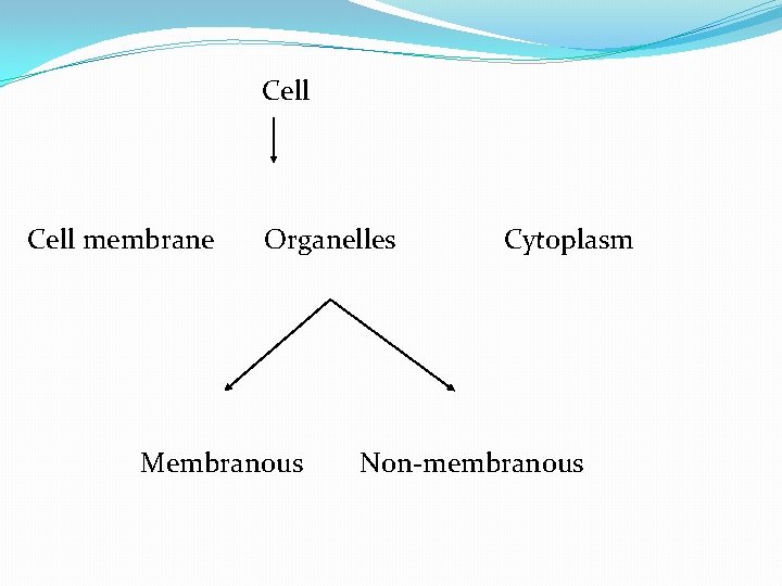 Cell membrane Organelles Membranous Cytoplasm Non-membranous 