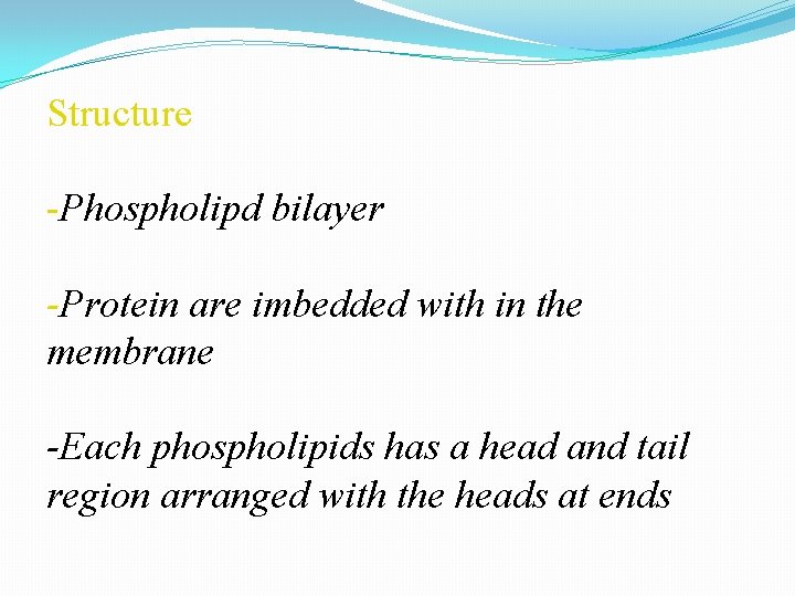Structure -Phospholipd bilayer -Protein are imbedded with in the membrane -Each phospholipids has a