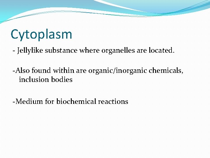 Cytoplasm - Jellylike substance where organelles are located. -Also found within are organic/inorganic chemicals,