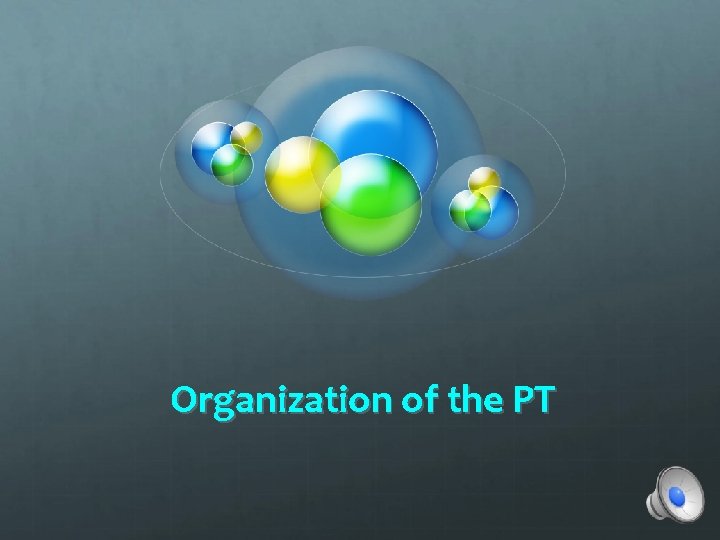 Organization of the PT 