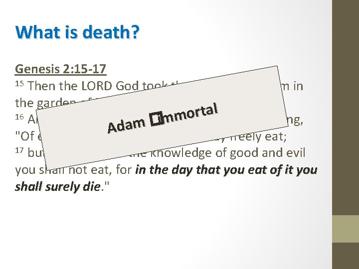 What is death? Genesis 2: 15 -17 15 Then the LORD God took the