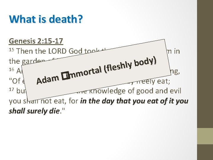 What is death? Genesis 2: 15 -17 15 Then the LORD God took the