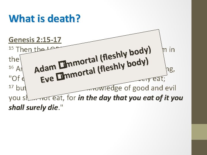What is death? Genesis 2: 15 -17 15 Then the LORD God took the