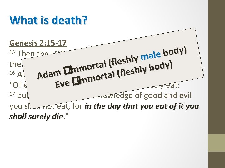 What is death? Genesis 2: 15 -17 ) y 15 Then the LORD God