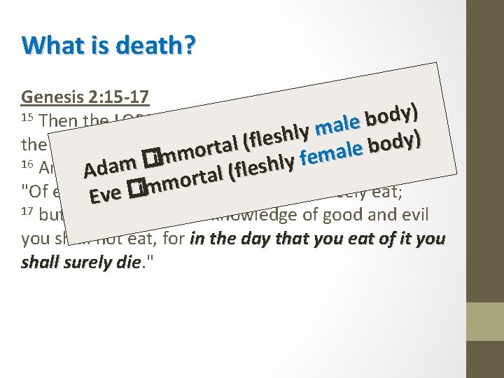 What is death? Genesis 2: 15 -17 ) y 15 Then the LORD God