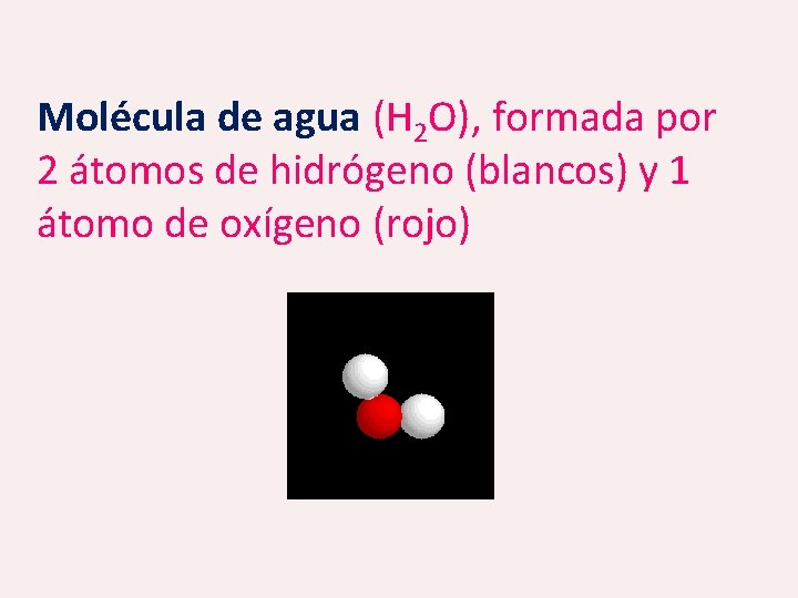 Molécula de agua (H 2 O), formada por 2 átomos de hidrógeno (blancos) y