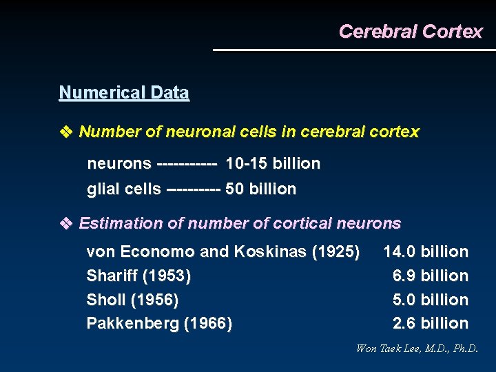 Cerebral Cortex Numerical Data Number of neuronal cells in cerebral cortex neurons ------ 10